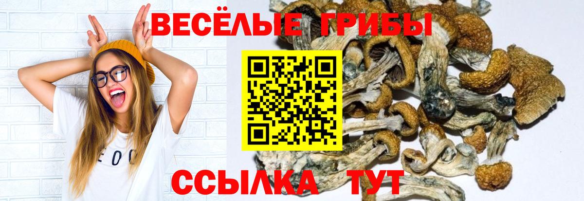 Галлюциногенные грибы прущие грибы  Галлюциногенные грибы MAGIC MUSHROOMS  Вход с VPN  Брянск 