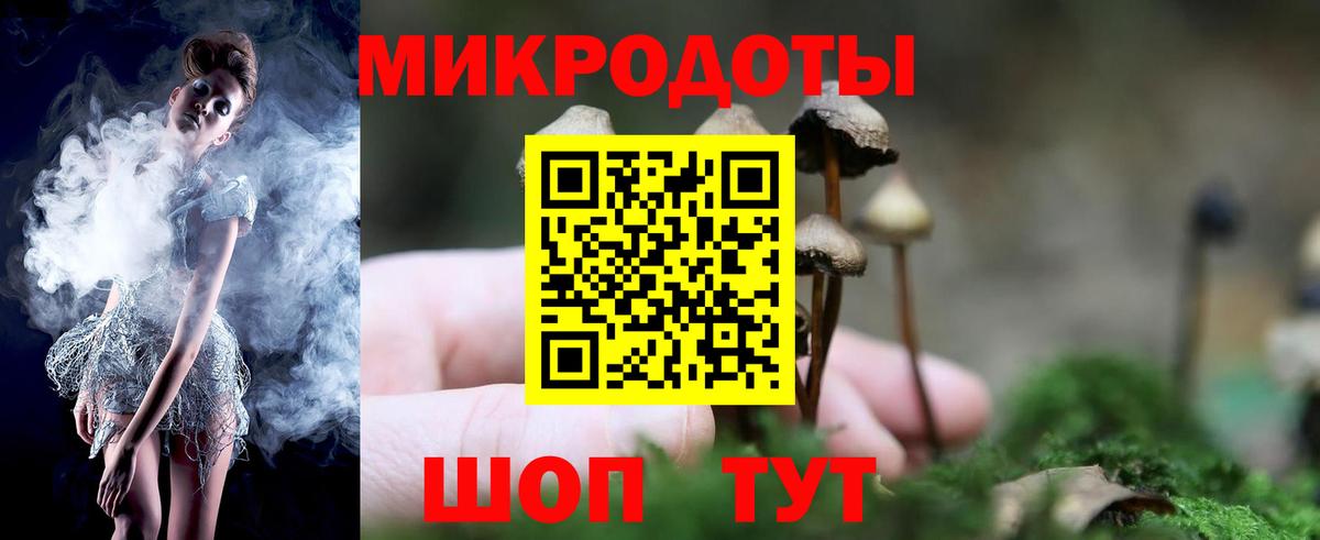 Галлюциногенные грибы Psilocybe Брянск